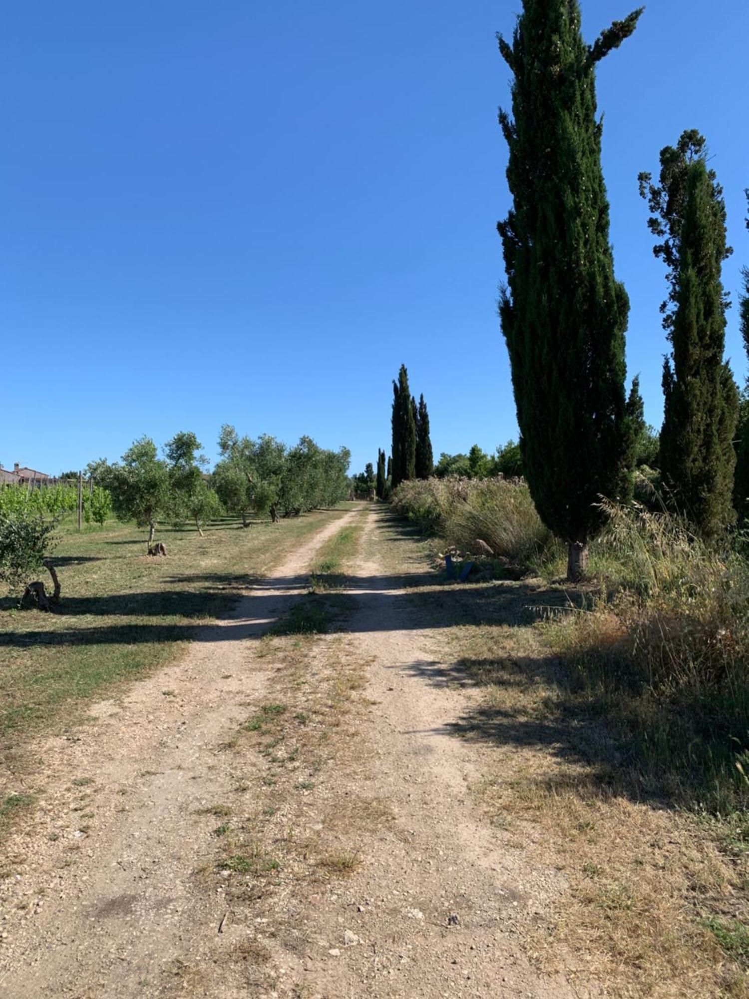 Resort Fonte Vulci Canino Kültér fotó