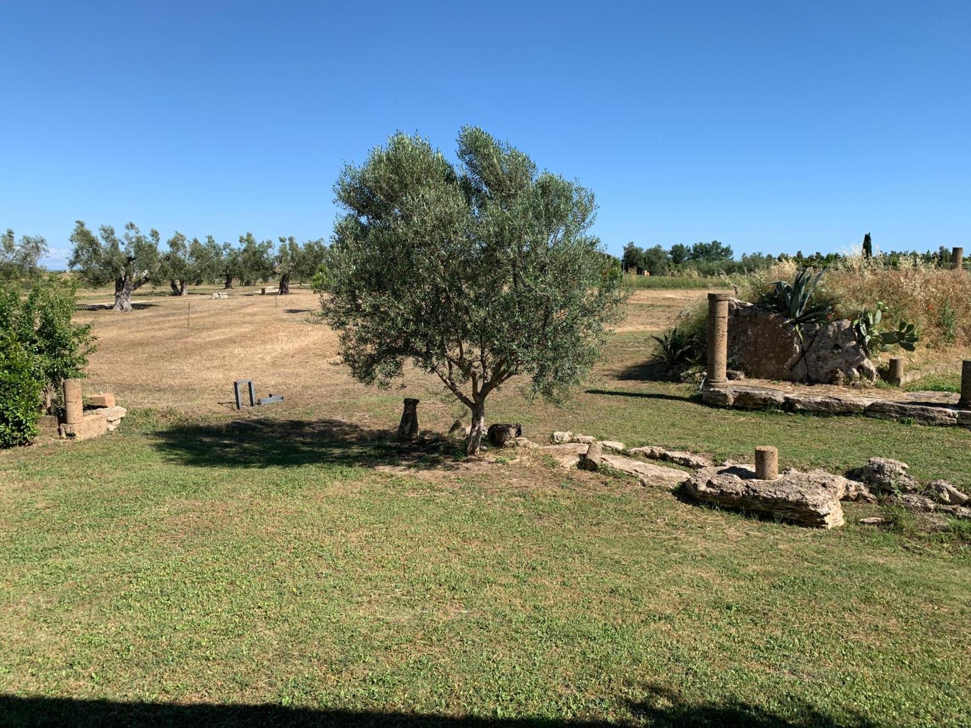Resort Fonte Vulci Canino Kültér fotó