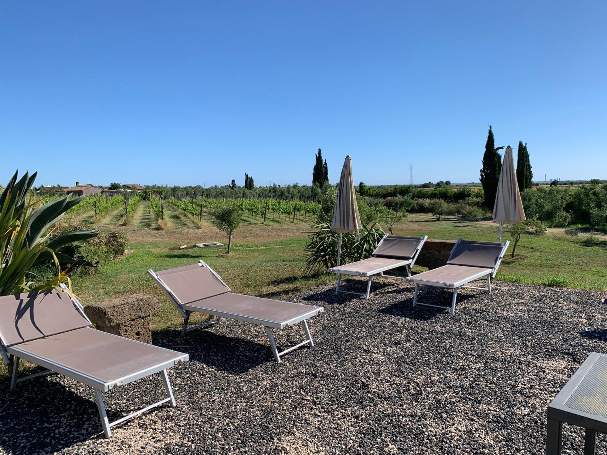 Resort Fonte Vulci Canino Kültér fotó
